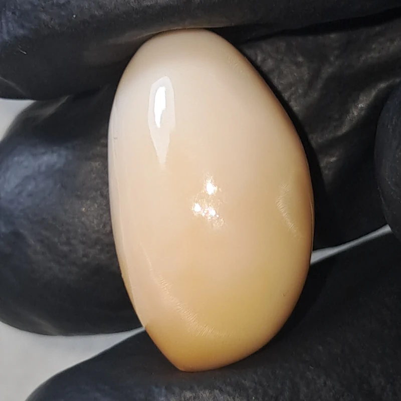Massive 22.65 carat natural cassis pearl