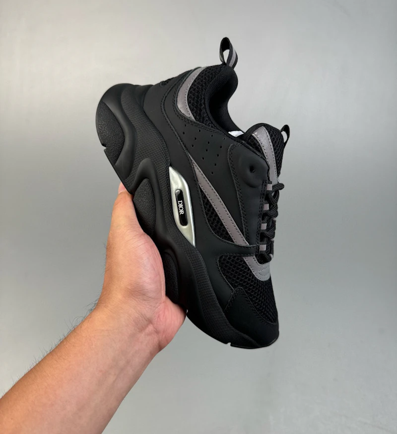 B22 DIOR