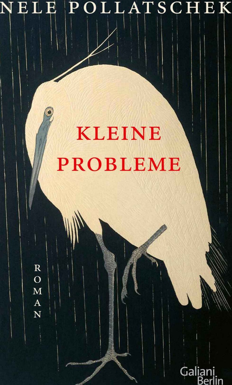 Kleine Probleme - Nele Pollatschek