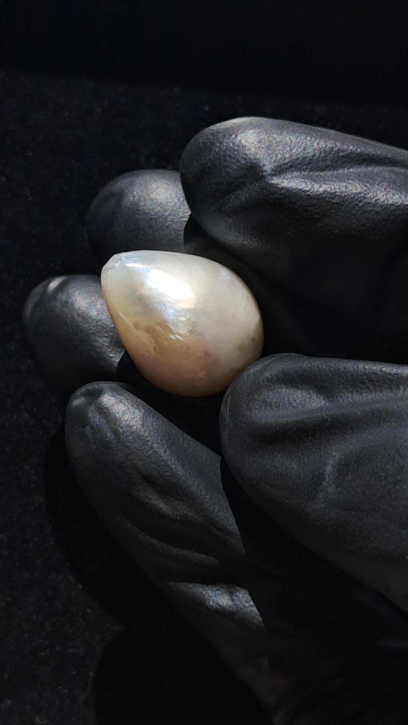 Ravishing GIA certified 25 carat Natural Maxima pearl