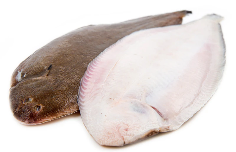 Poisson sole 