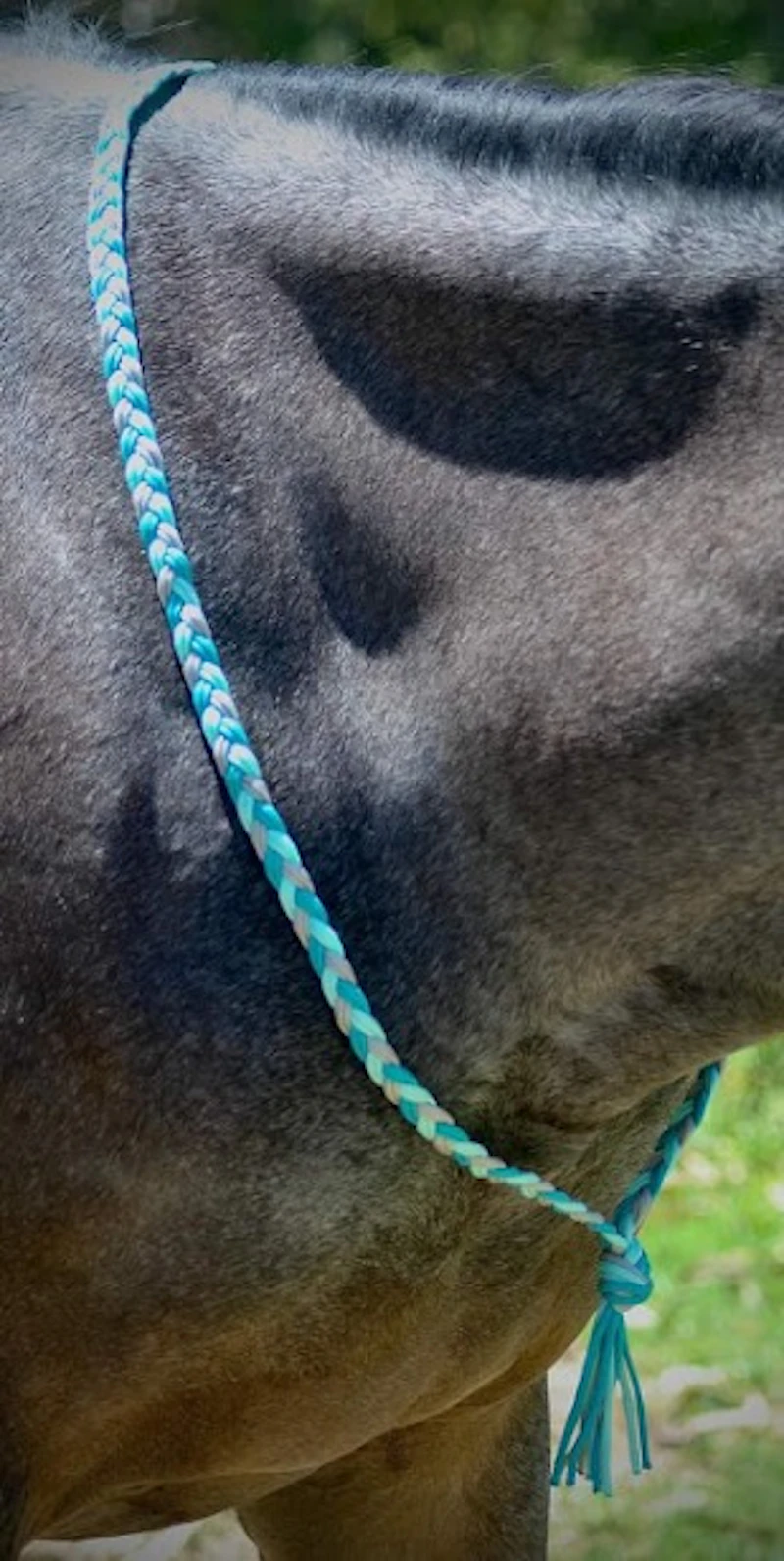 Neckropes