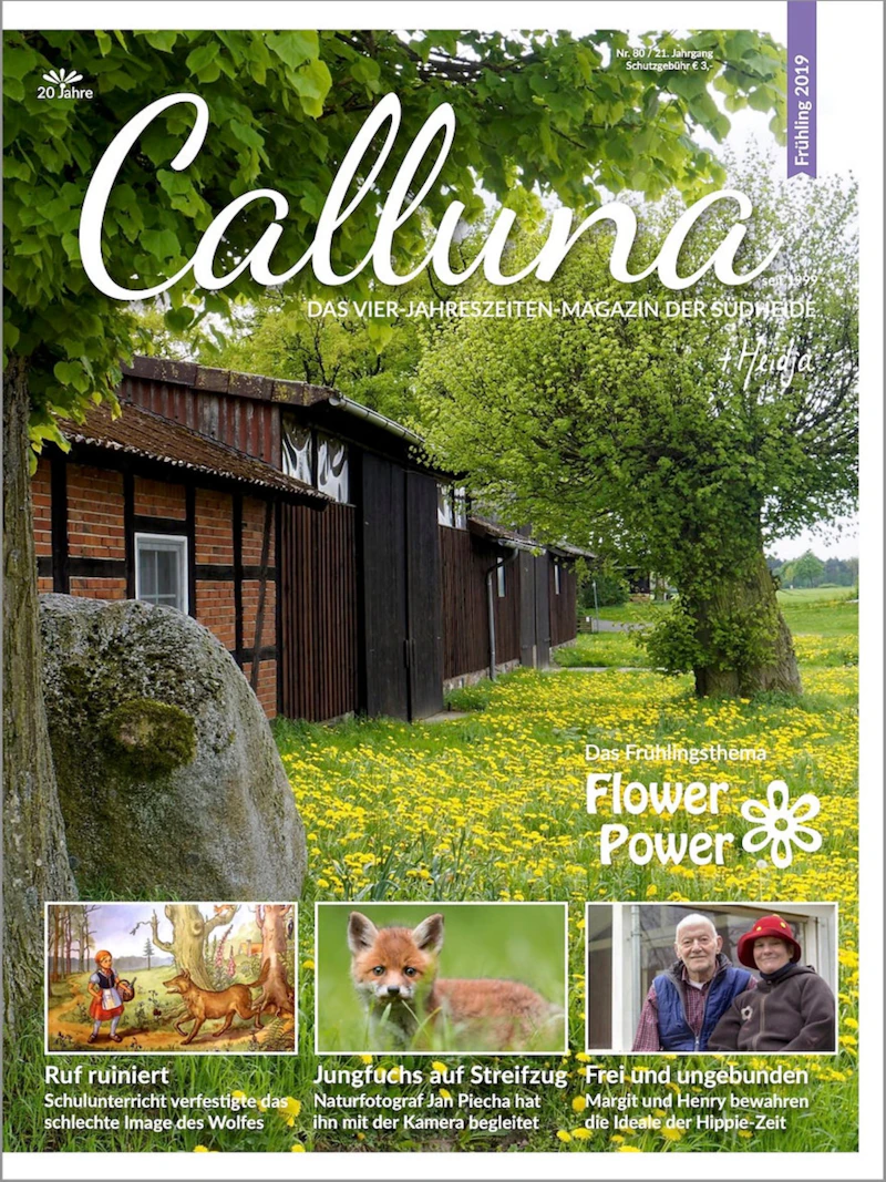 Calluna Frühling 2019
