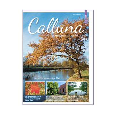Calluna Herbst 2023