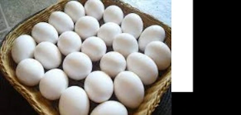 طبق بيض ابيض30قطعه