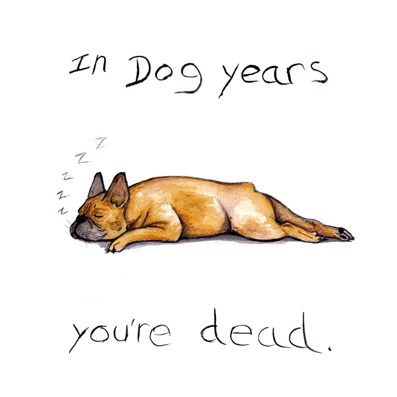 In dog years your dead