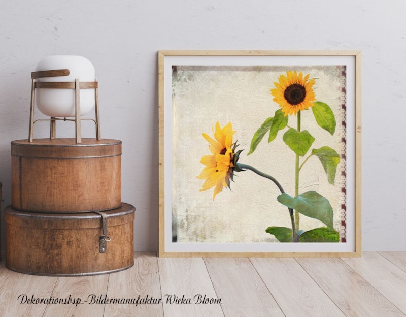 Sonnenblumen, Wanddeko Summertime Landhausstil Shabby Chic Vintage Style kaufen