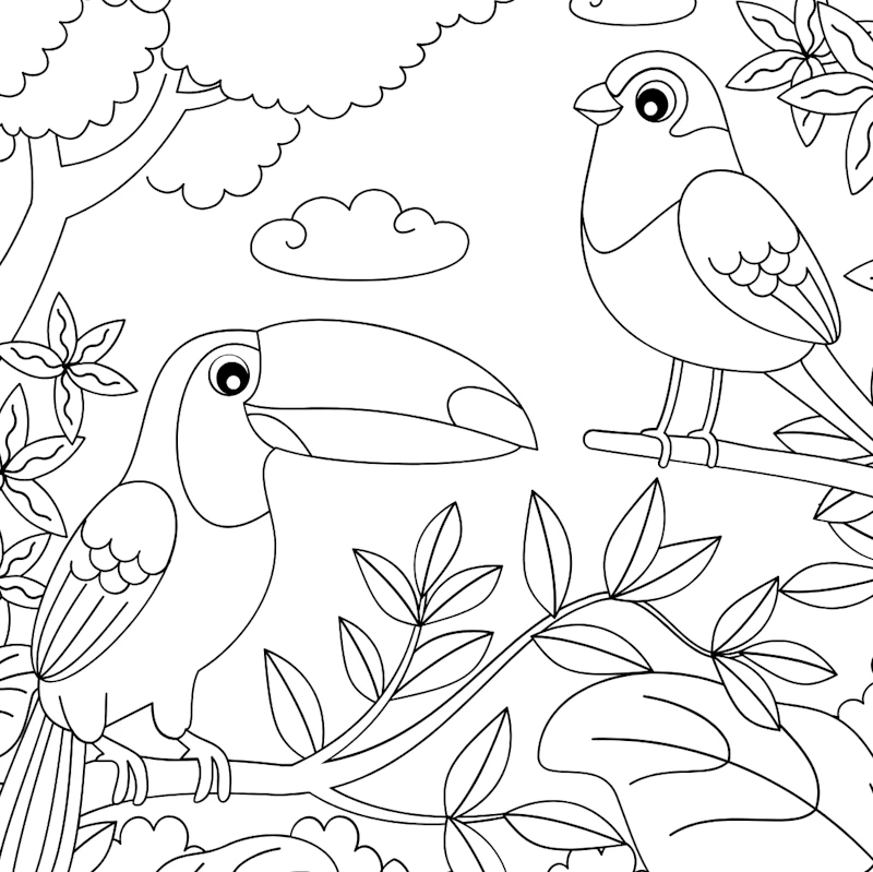 Das ultimativ abwechslungsreichste Malbuch ever für junge und ältere Künstler