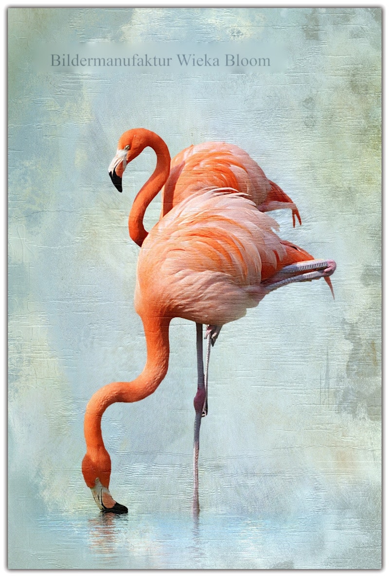 Rosa Flamingos Vögel Wanddeko Landhausstil Shabby Chic Vintage Style