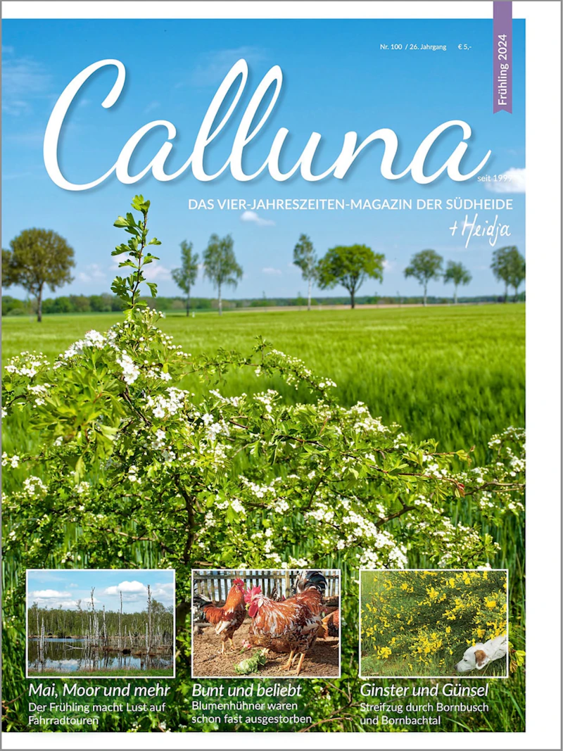 Calluna Frühling 2024 E-Paper