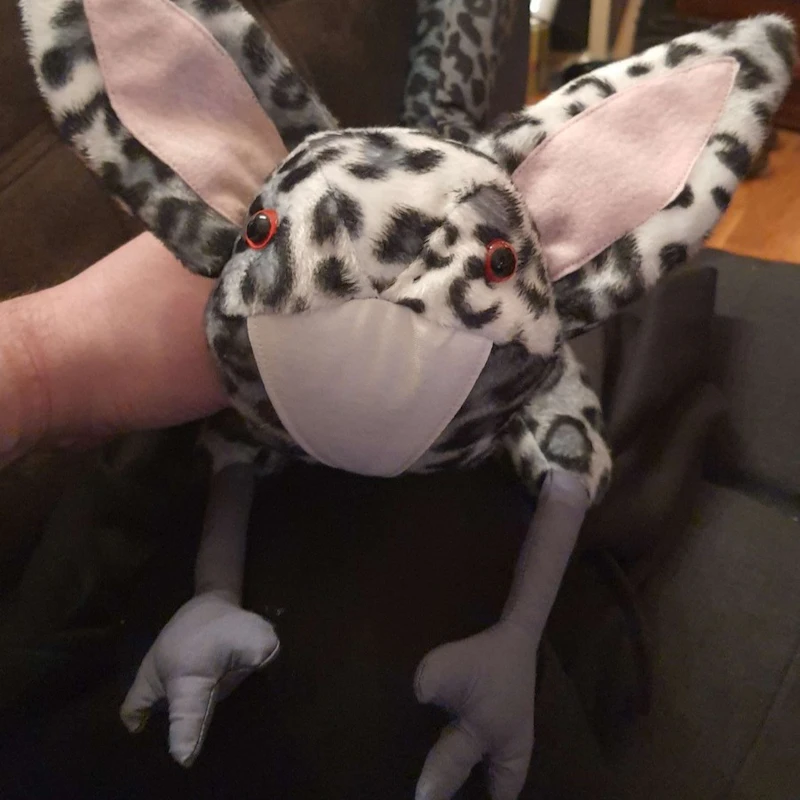 Space Cat -Sammler-Plüschtier