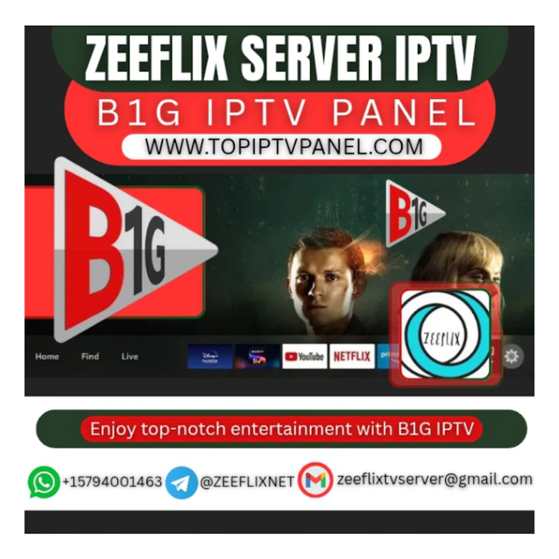 B1G IPTV PANEL 