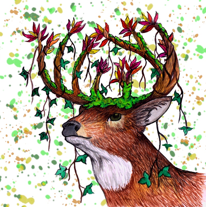 Moss Deer