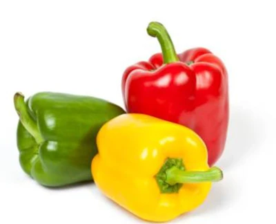 Poivron 