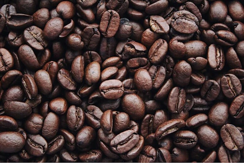 Fresh arabica coffee beans |