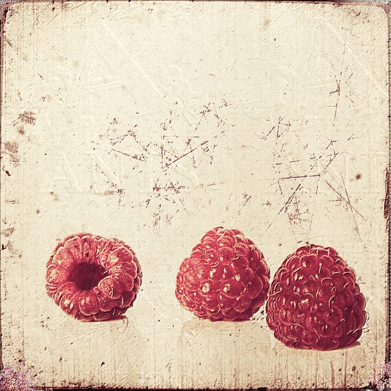 Red Berries, Sommerfrüchte, 3er Set im Landhausstil, ShabbyChic,VintageStyle