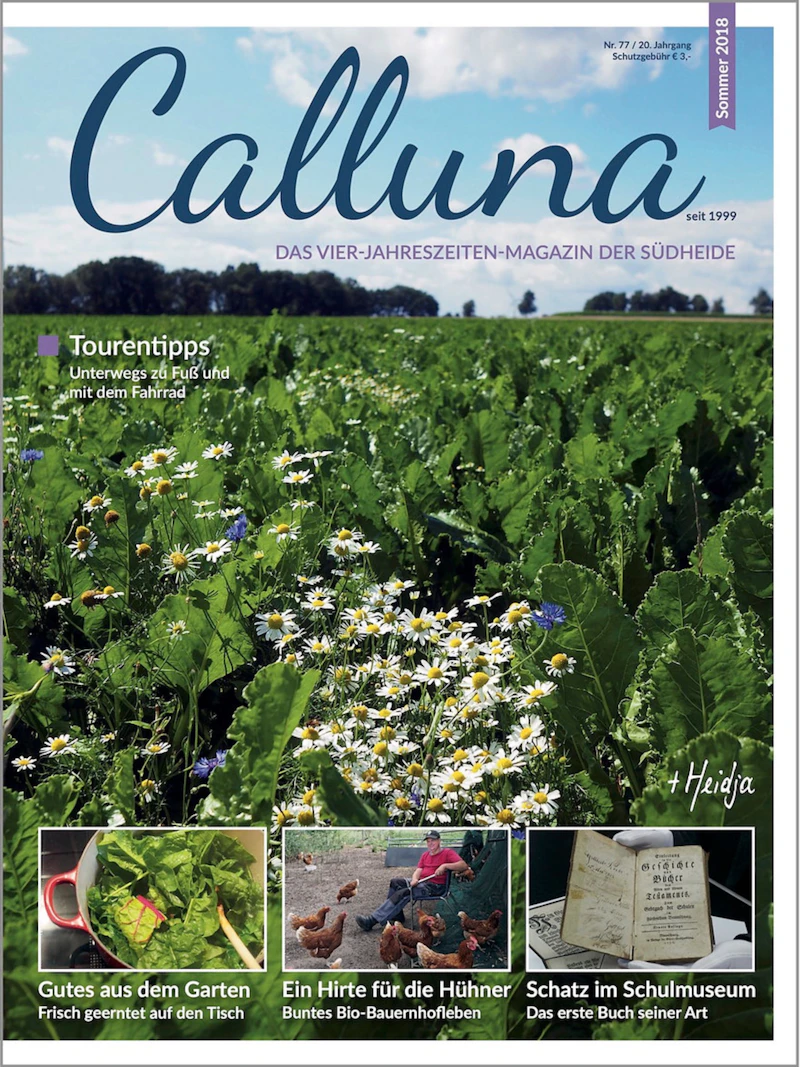 Calluna Sommer 2018