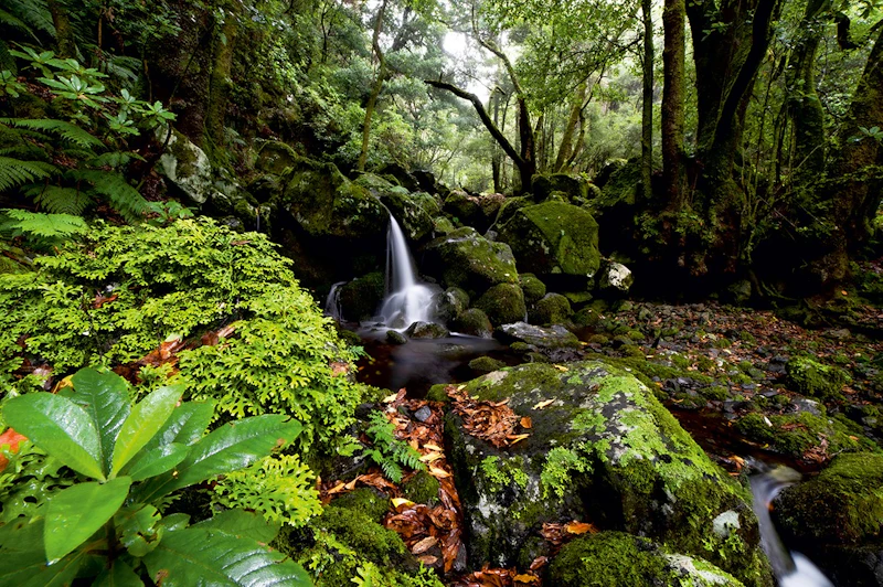 Wasserfall an der Lavada dos Cedro