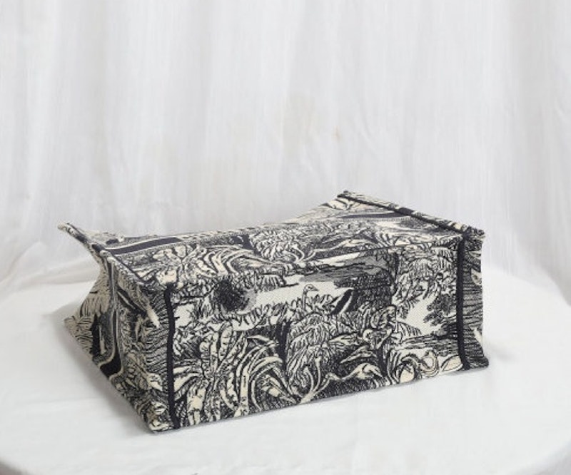 Christian Dior Book Tote Bag 