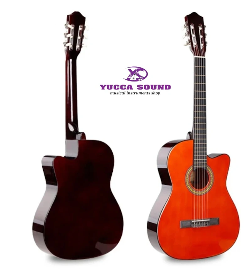 Beginner Acoustic guitar 