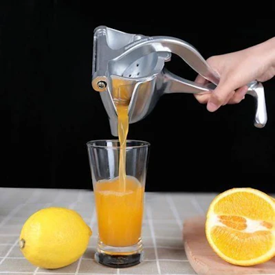Manual handpress juicer