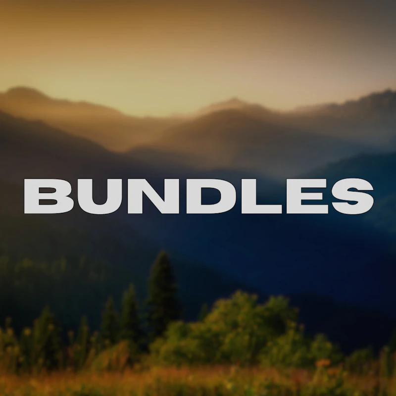 Bundles