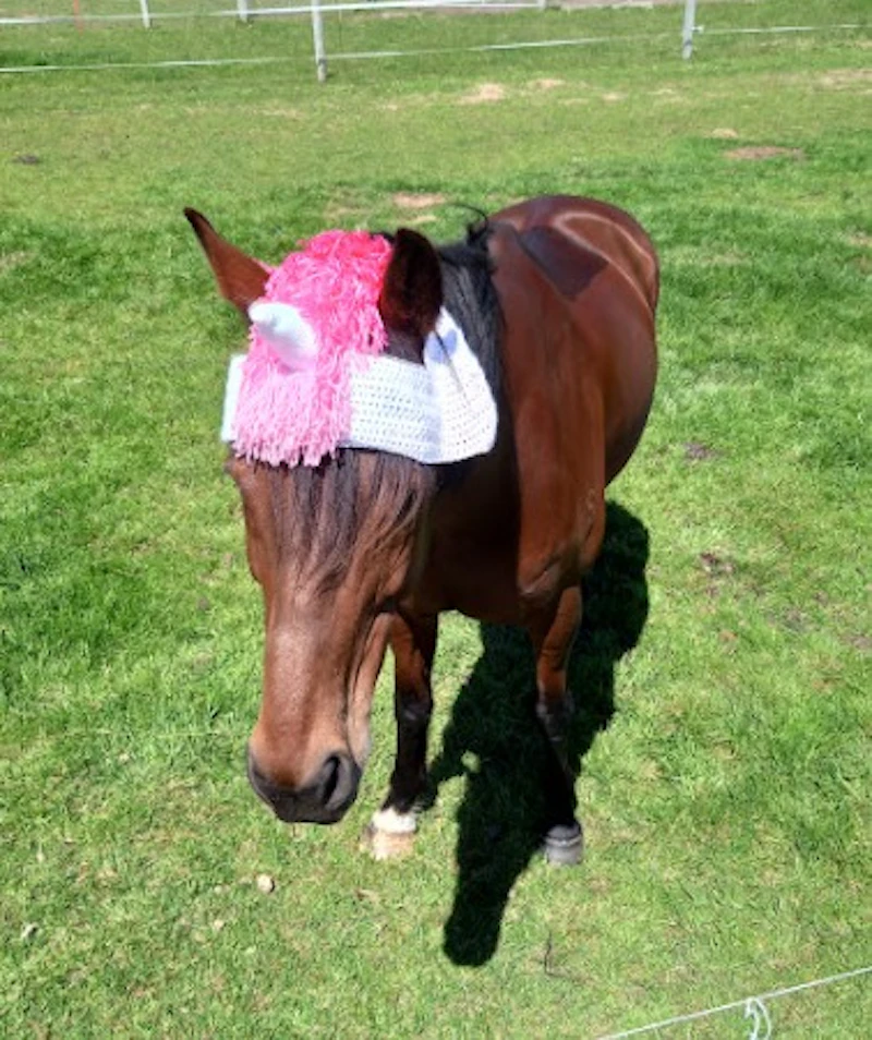 Crochet Horse Hats