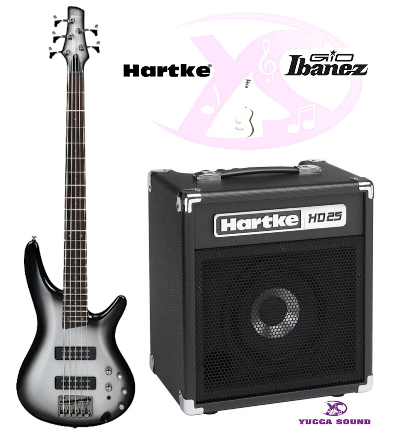 Ibanez SR305E SR Standard Series 5-String Electric Bass