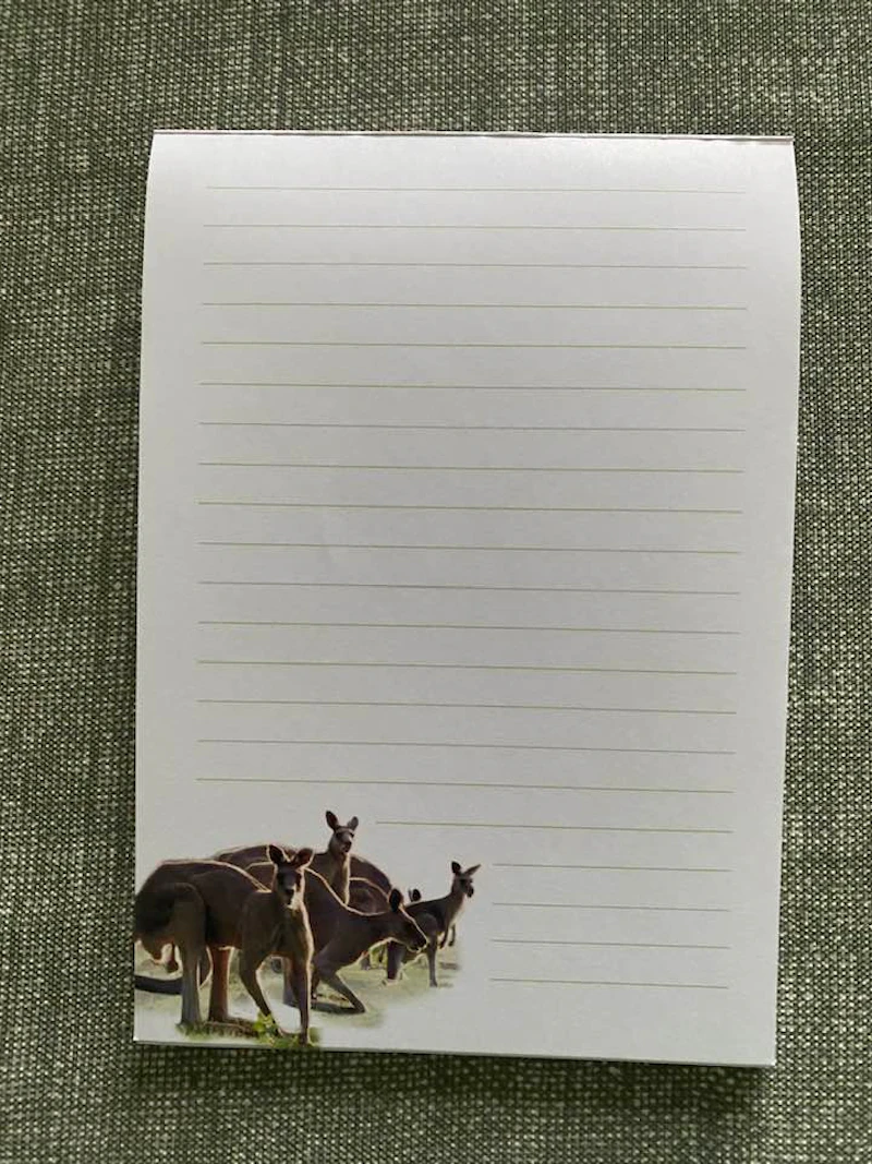 Notepad Kangaroo Steve Parish