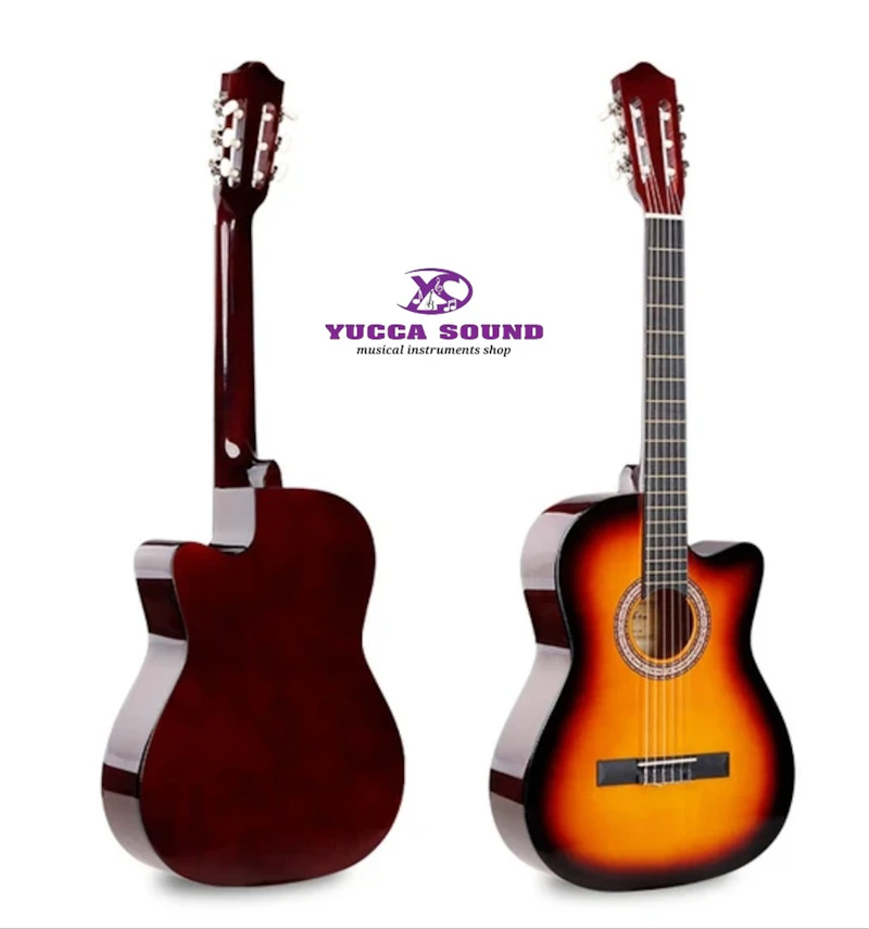 Beginner Acoustic guitar 