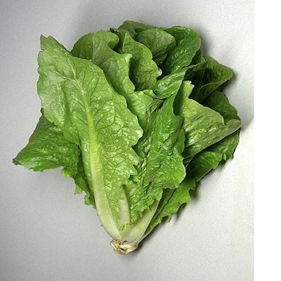 Romaine (油麥菜新益安心販)