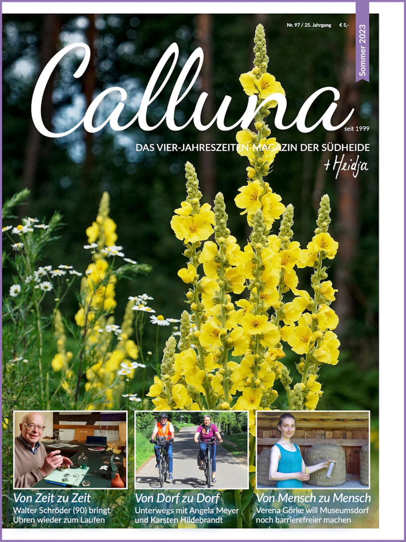 Calluna Sommer 2023