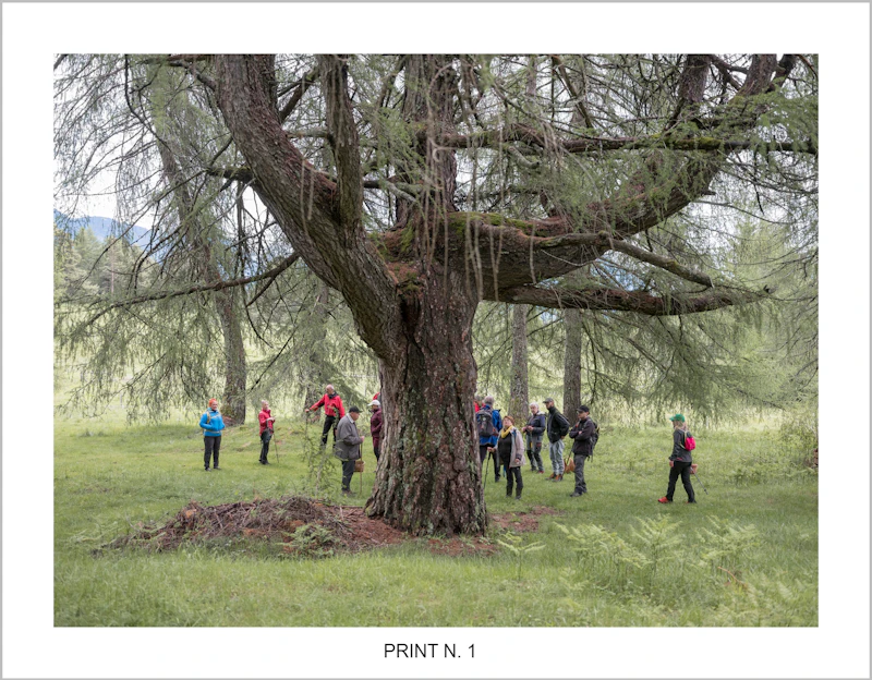 IL NOSTRO BOSCO special edition - TerraProject