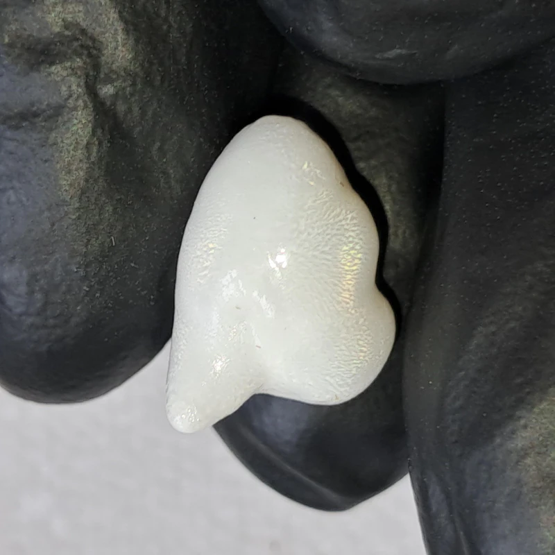 Natural 6.8 Carat Tridacna Clam Pearl