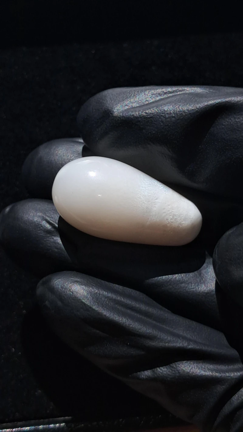 Massive 42.80 carat Natural tridacna clam pearl 