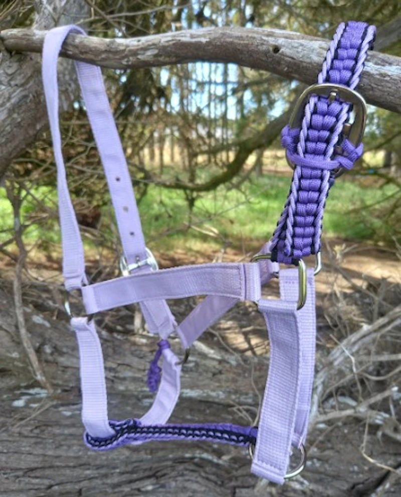 Half Halters