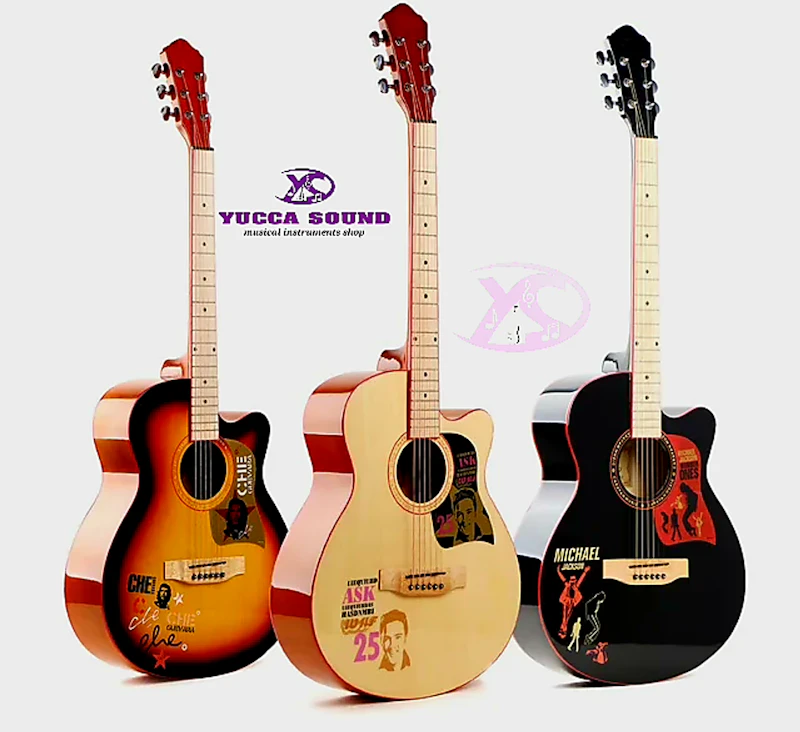 Caravan 4010 Acoustic Guitar 