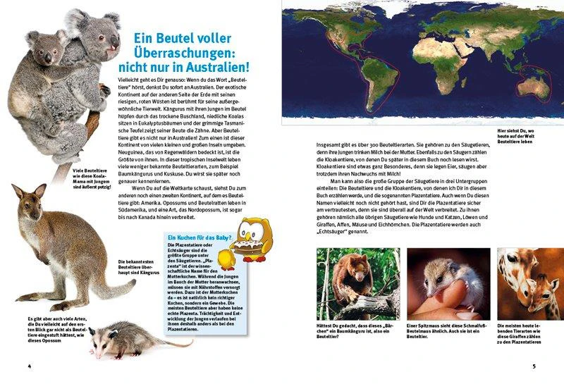 Entdecke die Beuteltiere 