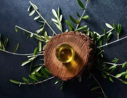 Olivenöl Guide - Wissenswertes über Olivenöl