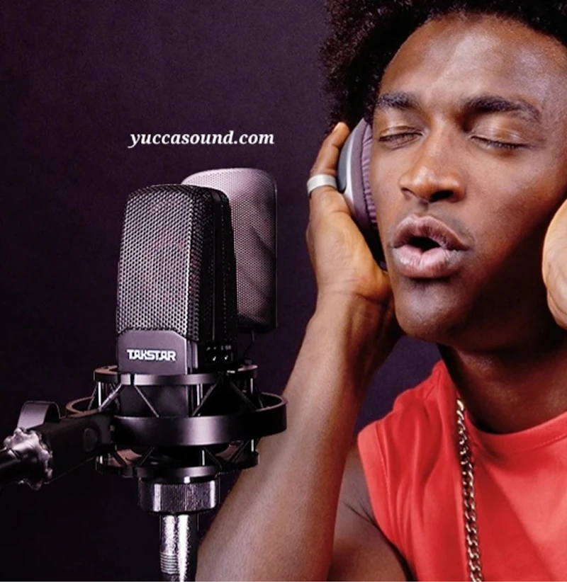 Takstar TAK35 Recording Microphone