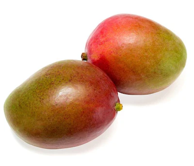 Mangue