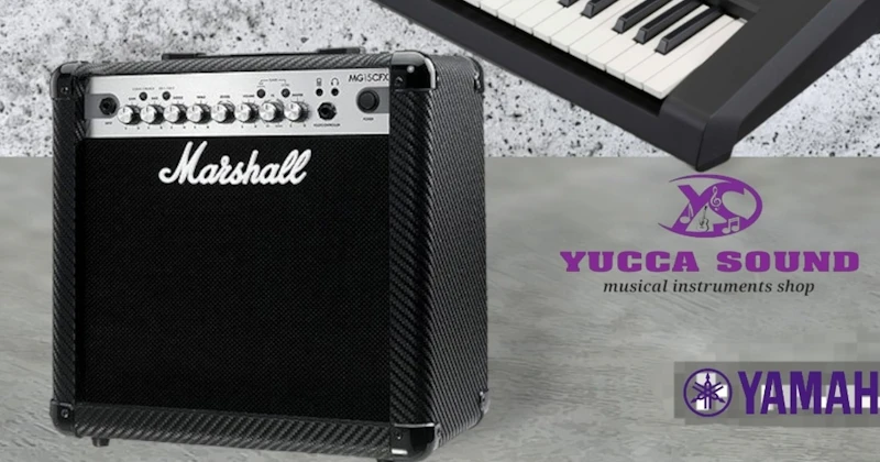 Marshall mini Combo 