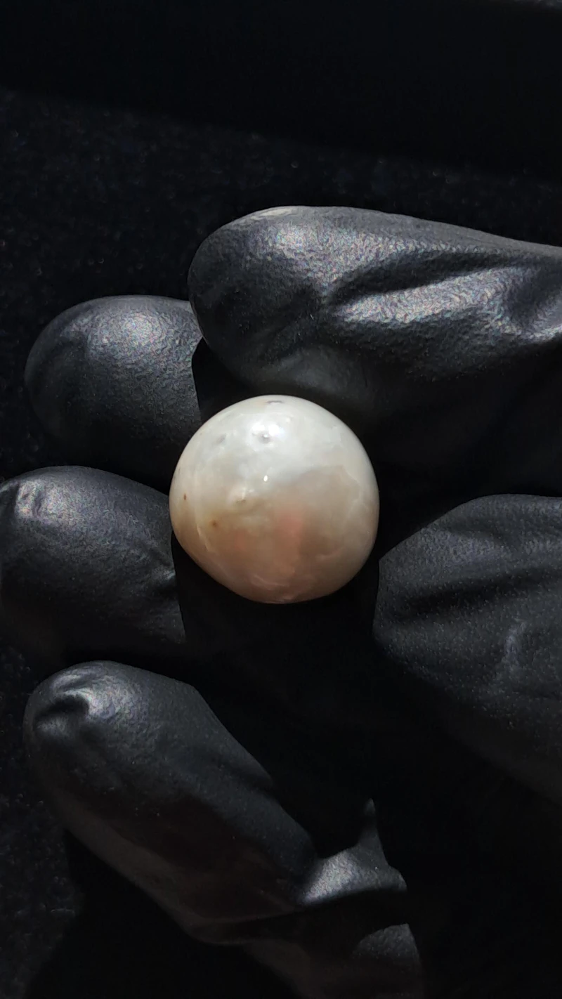 Ravishing GIA certified 25 carat Natural Maxima pearl