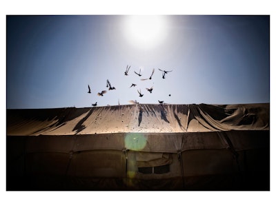 In No man's Land. Al Tanf Refugee Camp - Numbered Prints Series
