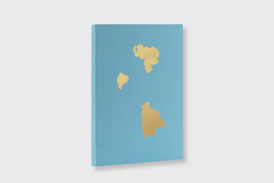BUSCANDO A BOLIVAR - Pietro Paolini