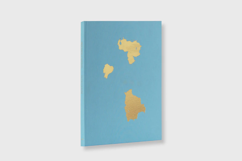 BUSCANDO A BOLIVAR - Pietro Paolini