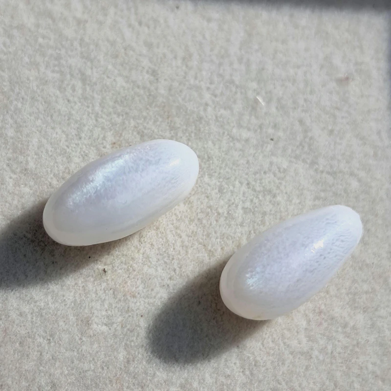 Two GIA certified natural tridacna clam pearls