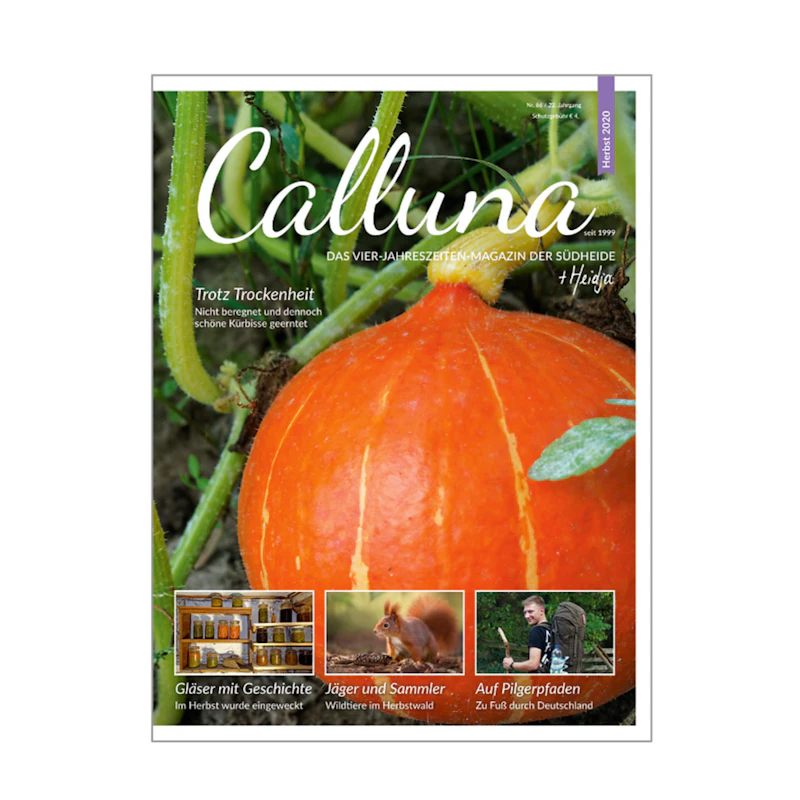 Calluna Herbst 2020