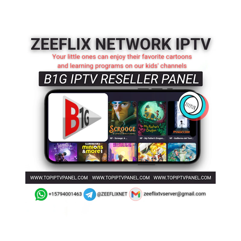 B1G IPTV SUBSCRIPTION 