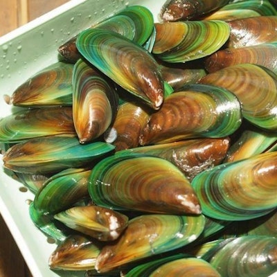 Mussels (下環志仔青口)